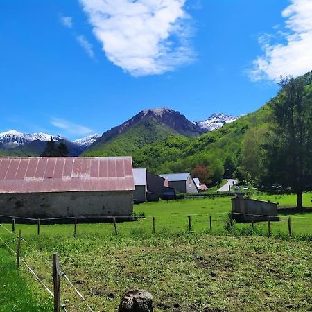 Sejour Cocooning Pour Se Ressourcer A La Montagne. Apartment Aulus les Bains Bagian luar foto